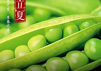 立夏吃什么好？立夏吃什么蔬菜？
