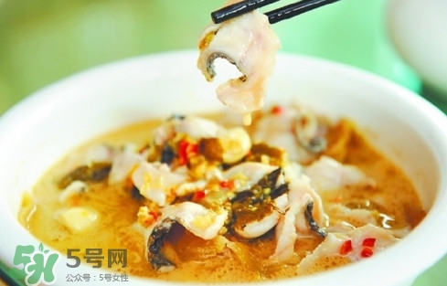 黑魚是發(fā)物嗎？黑魚是不是發(fā)物