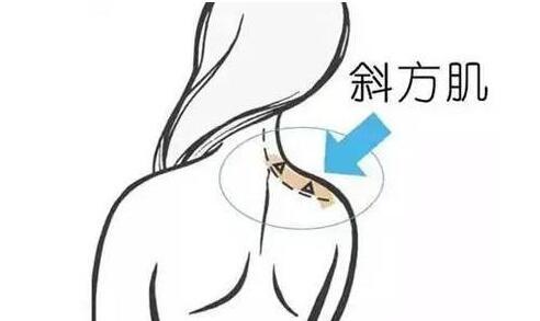 天鵝頸是什么樣的？天鵝頸怎么練？
