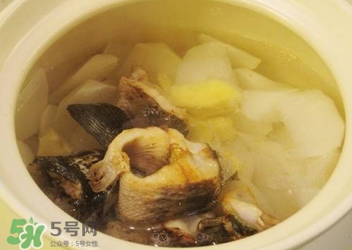 黑魚能和蘿卜一起吃嗎？黑魚能和胡蘿卜同食嗎