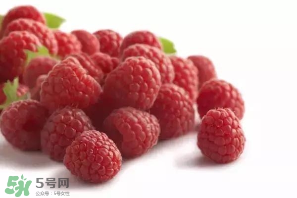 樹(shù)莓可以直接吃嗎？樹(shù)莓里的小籽能吃嗎？