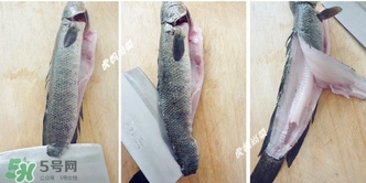 黑魚怎么切片？黑魚如何切魚片