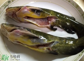 黃辣丁多少錢一斤？野生黃辣丁多少錢一斤