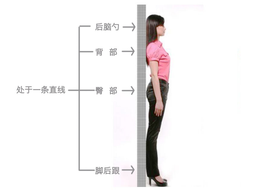 天鵝頸是什么樣的？天鵝頸怎么練？