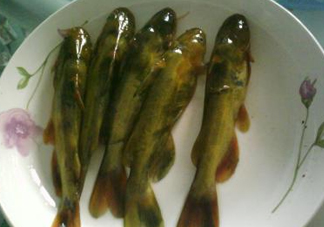 嘎魚是海魚嗎？嘎魚是什么魚