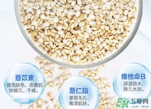 薏仁水可以天天敷嗎？薏仁水幾天敷一次？