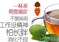脂流茶成分 脂流茶可以減肥嗎？