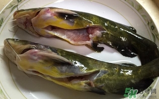 黃辣丁一斤多少錢？黃辣丁價(jià)格