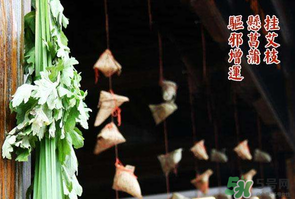 端午節(jié)為什么掛艾草？端午節(jié)掛艾草的由來