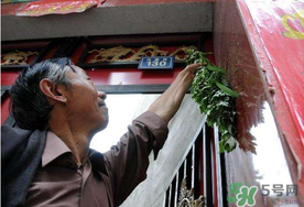 端午節(jié)為什么掛艾草？端午節(jié)掛艾草的由來