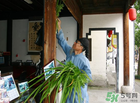 端午節(jié)門上掛的那個(gè)草叫什么？端午節(jié)掛門上的叫什么？