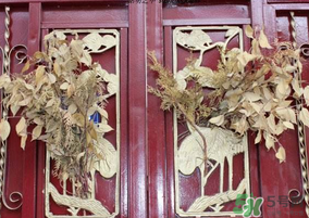 端午節(jié)門上掛的那個(gè)草叫什么？端午節(jié)掛門上的叫什么？