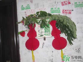 端午節(jié)門上掛的那個(gè)草叫什么？端午節(jié)掛門上的叫什么？