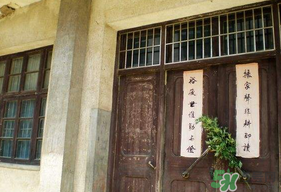端午節(jié)插門上的是什么？端午節(jié)為什么要插艾草？