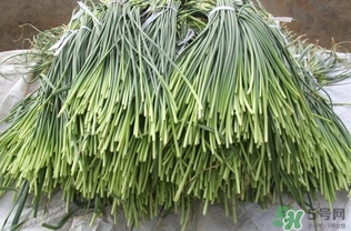 蒜薹怎么腌？腌蒜臺的家常做法大全