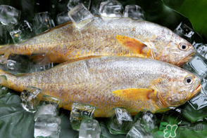 端午節(jié)為什么要吃黃魚？端午節(jié)吃黃魚的由來
