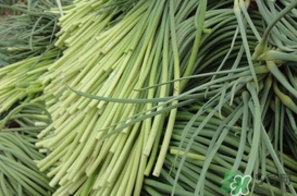 蒜薹怎么保存？蒜薹如何保存