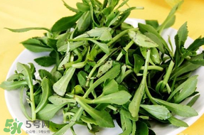 養(yǎng)心菜能生吃嗎？養(yǎng)心菜怎么吃？