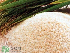包粽子的米要泡多久？包粽子的米是什么米？
