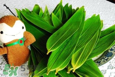 包粽子的葉子叫什么？包粽子的葉子怎么處理？