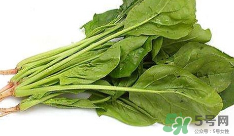 黃辣丁能和菠菜同食不？菠菜可以和黃辣丁一起吃嗎