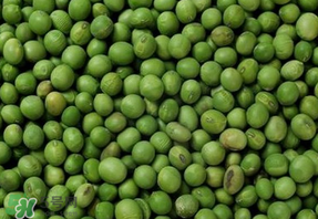 青豆可以打豆?jié){嗎？青豆能做豆?jié){嗎？