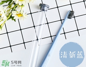 amortals爾木萄牙刷怎么樣？amortals爾木萄牙刷多少錢？