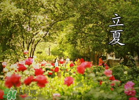 ?立夏是夏天嗎？?立夏是夏天的開始嗎？