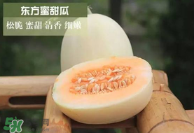 甜瓜可以帶上飛機嗎？坐飛機可以帶香瓜嗎？