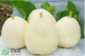 甜瓜可以帶上飛機嗎？坐飛機可以帶香瓜嗎？