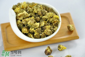 立夏喝菊花好嗎？立夏能吃苦菊嗎？