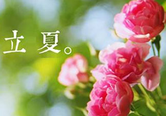 立夏開什么花？立夏有什么花？