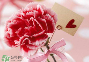 母親節(jié)要送婆婆禮物嗎？母親節(jié)要給婆婆買禮物嗎？