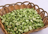 青蠶豆怎么保存？剝好的蠶豆怎么保存