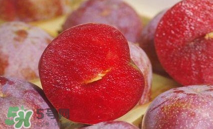 吃三華李有什么好處？三華李的功效與作用
