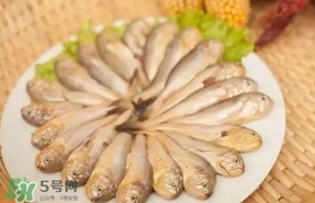 黃唇魚是黃花魚嗎？黃唇魚是黃魚嗎？