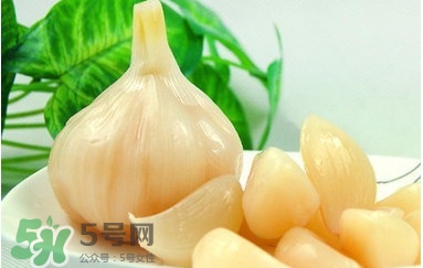 如何腌大蒜頭？腌咸蒜頭的做法