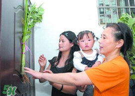 端午節(jié)為什么要掛菖蒲？端午節(jié)掛菖蒲的好處
