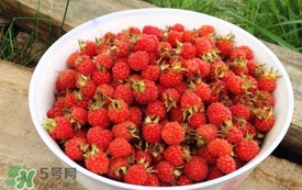 山莓是覆盆子嗎？山莓和覆盆子的區(qū)別