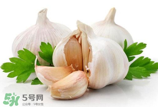 蒜頭能放冰箱嗎？蒜頭能放多久？