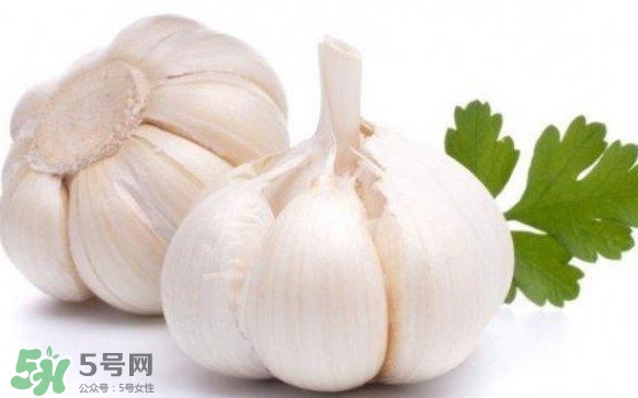 蒜頭發(fā)芽能吃嗎？蒜頭發(fā)芽可以吃嗎？