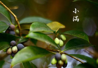 2017年小滿會(huì)下雨嗎？2017年小滿下雨好嗎？