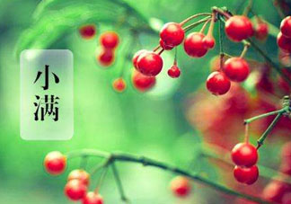 小滿是什么節(jié)氣？小滿是第幾個節(jié)氣？