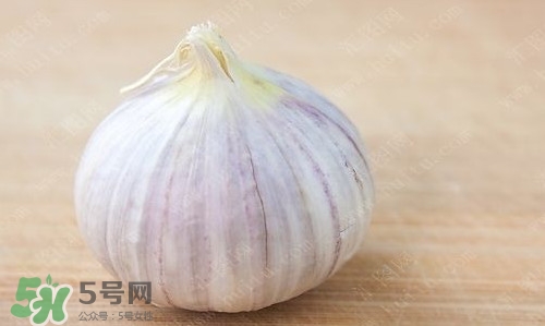 新鮮蒜頭怎么保存？蒜頭怎么保存不發(fā)芽