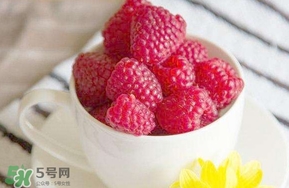 覆盆子是什么？覆盆子是樹(shù)莓嗎