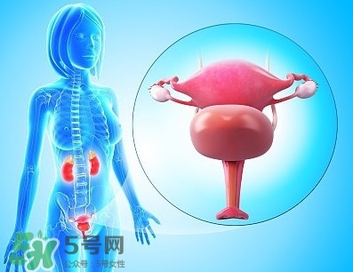 人造子宮能生孩子嗎？人造子宮初現(xiàn)曙光