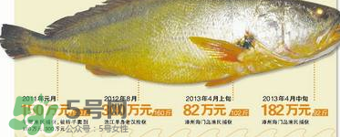 孕婦能吃金錢鱉嗎？懷孕期間能不能吃金錢鱉？