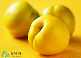 油桃和芒果可以一起吃嗎？芒果和油桃能一起吃嗎？