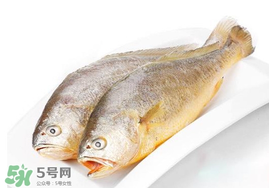 黃唇魚(yú)是不是黃花魚(yú)？黃唇魚(yú)和黃花魚(yú)的區(qū)別