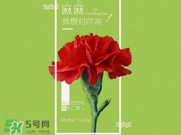 2017年母親節(jié)會打折嗎？2017年母親節(jié)有什么優(yōu)惠活動？